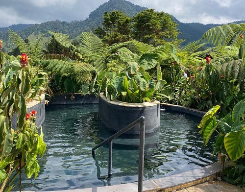 Ecotermales del Otoño